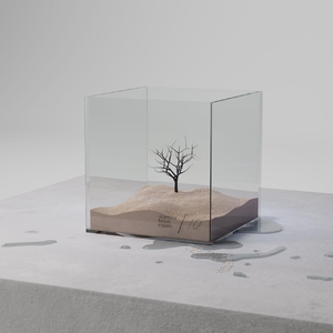 19岁大学生免费播放电视剧最新
