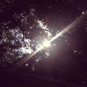 19岁大学生免费播放电视剧最新
