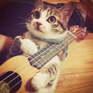 19岁大学生免费播放电视剧最新
