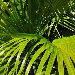 19岁大学生免费播放电视剧最新
