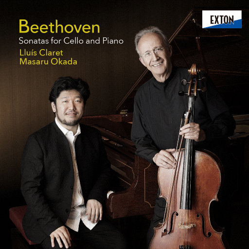 19岁大学生免费播放电视剧最新
