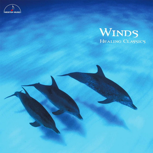 19岁大学生免费播放电视剧最新
